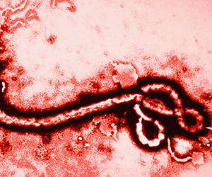 Facts About Ebola